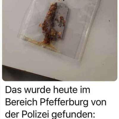 Giftköder-Rasierklinge mit Hundefutter-Bild