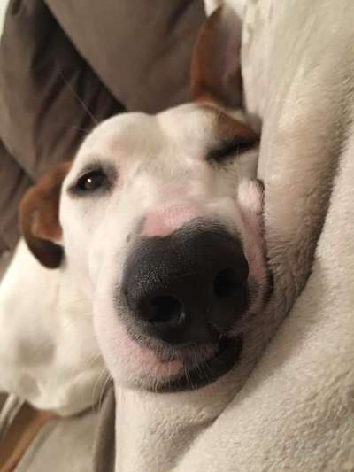 müde der kleine-Beitrag-Bild