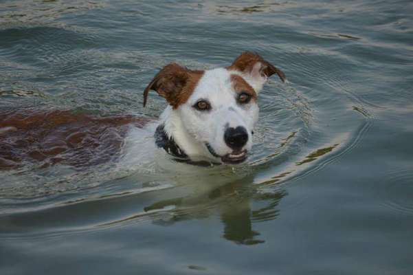 Fotochallenge 27-Beitrag-Bild