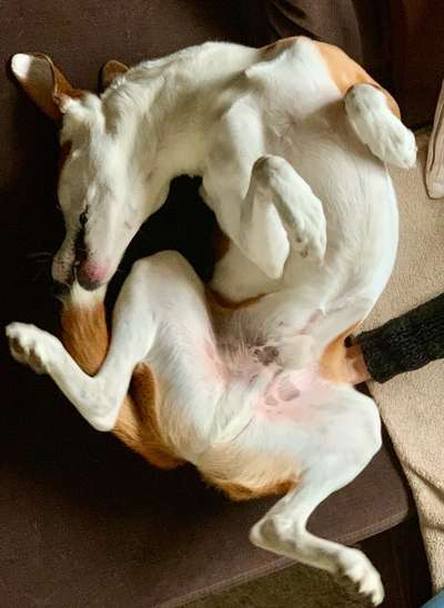 Die unbequemsten und lustigsten Schlafpositionen-Beitrag-Bild