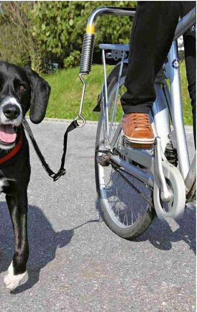 Abstandshalter fürs Fahrrad im Vergleich: welchen findet ihr für große Hunde am Besten?-Beitrag-Bild