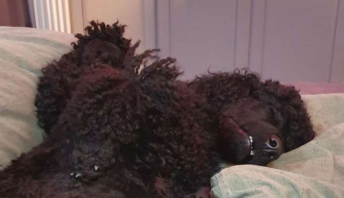 Die unbequemsten und lustigsten Schlafpositionen-Beitrag-Bild