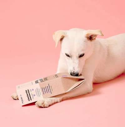 %{de_profession_title}-Futterprobe MOOLITO Insect Vital-Bild