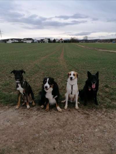 Foto Challenge Nr.: 115-Beitrag-Bild