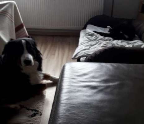 CHALLENGE Nr.17-Beitrag-Bild