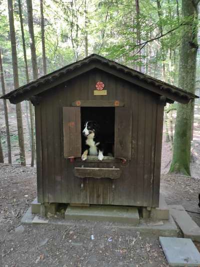 Fotochallenge Nr.100 Urlaubsimpressionen-Beitrag-Bild