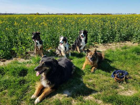 Fotochallenge 78

Es grünt und blüht-Beitrag-Bild