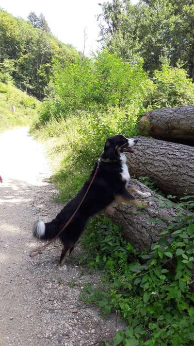 Trick Challenge Nr. 15-Beitrag-Bild