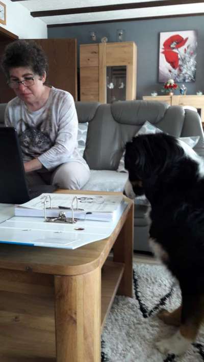 Fotochallenge 28 -Hunde im Homeoffice-Beitrag-Bild