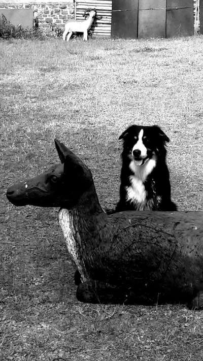 Foto-Challenge 76: Foto in Schwarz-Weiss-Beitrag-Bild