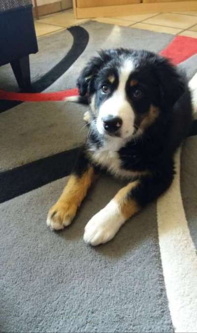 Foto Challenge 82-Beitrag-Bild