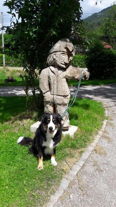 Fotochallenge 87: Im Park-Beitrag-Bild