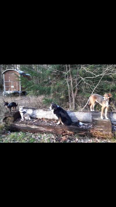 Theos Fotochallenge Nr. 3-Beitrag-Bild