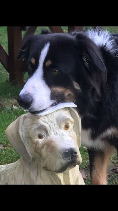 Fotochallange Nr. 57     PORTRÄT.   Beendet!!!!!!!!-Beitrag-Bild