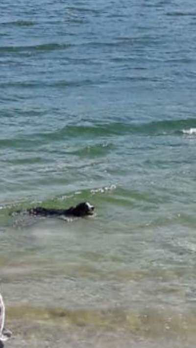 Fotochallenge Nr. 94 It's summer time-Beitrag-Bild