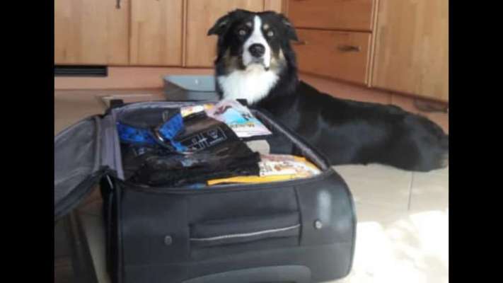 CHALLENGE NR. 18 - ON TOUR-Beitrag-Bild