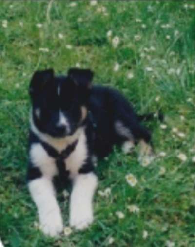 Foto Challenge 82-Beitrag-Bild