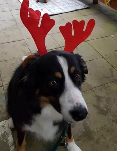 Fotochallenge 111: Endlich! Morgen kommt der Nikolaus..-Beitrag-Bild