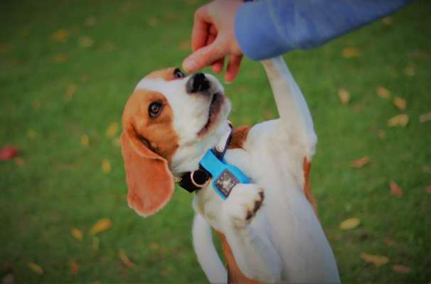 Lieblingsbild :D-Beitrag-Bild