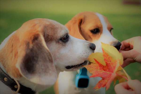 Lieblingsbild :D-Beitrag-Bild