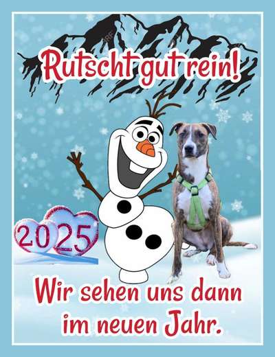 Windhunde - Treffen der besonderen Schönheiten
HERZLICH WILLKOMMEN-Beitrag-Bild