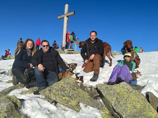 Windhunde - Treffen der besonderen Schönheiten
HERZLICH WILLKOMMEN-Beitrag-Bild