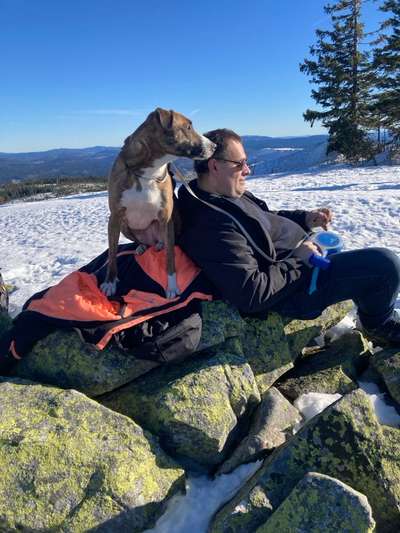 Windhunde - Treffen der besonderen Schönheiten
HERZLICH WILLKOMMEN-Beitrag-Bild