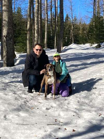 Windhunde - Treffen der besonderen Schönheiten
HERZLICH WILLKOMMEN-Beitrag-Bild