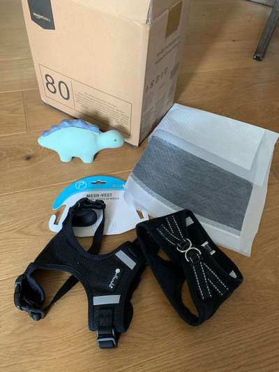 Abzugeben ! Nähe Berlin,Viktoriapark-Beitrag-Bild