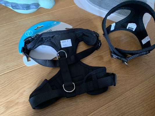 Abzugeben ! Nähe Berlin,Viktoriapark-Beitrag-Bild