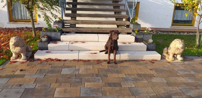 Handy-Foto-Challange Nr. 8-Beitrag-Bild