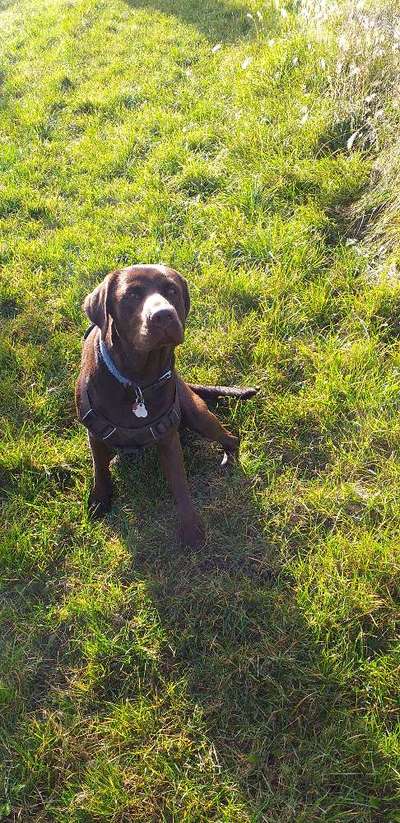 Handy-Foto Challange Nr. 10-Beitrag-Bild