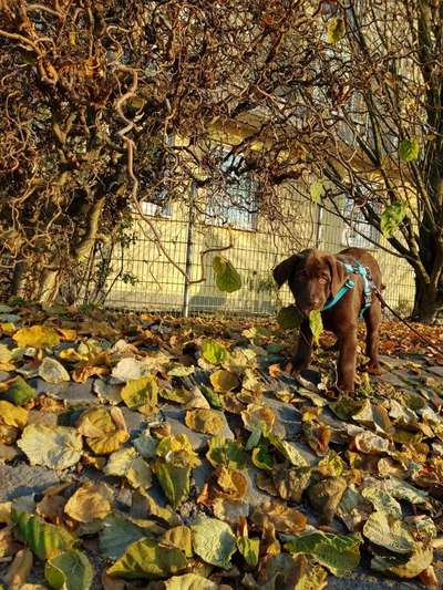 Handy-Foto-Challange Nr.9-Beitrag-Bild