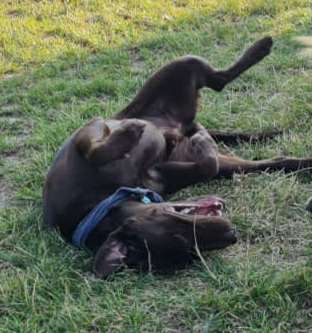 Handy-foto Challange nr. 11-Beitrag-Bild