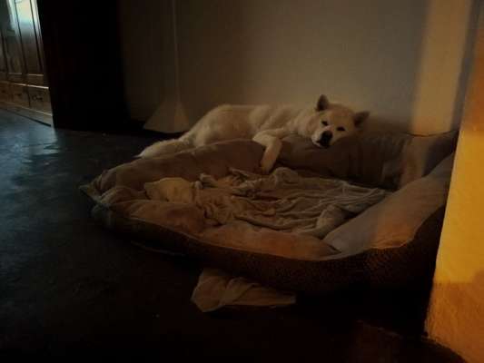 Schlafzeit!💖-Beitrag-Bild