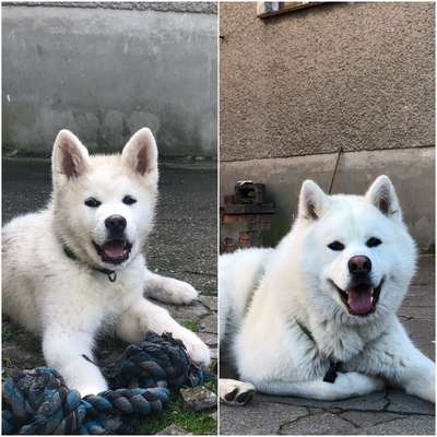 Ungewollte Streicheleinheiten etc.-Beitrag-Bild