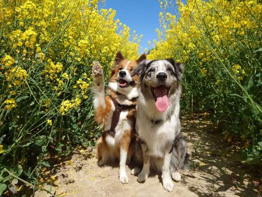 Theos  Fotochallenge Nummer 2-Beitrag-Bild