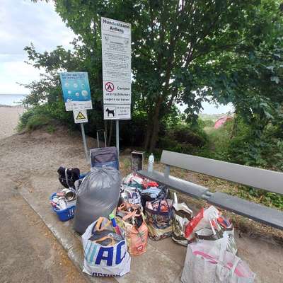 Hundetreffen-! Aktion "Wir sorgen uns um unseren Hundestrand!" Travemünde-Bild