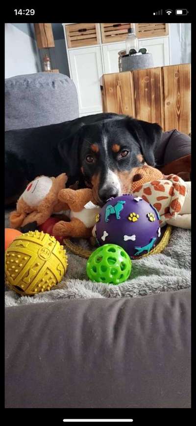 Foto Challenge die Vierte-Beitrag-Bild