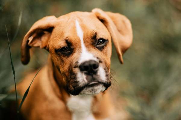 Foto Challenge 3-Beitrag-Bild