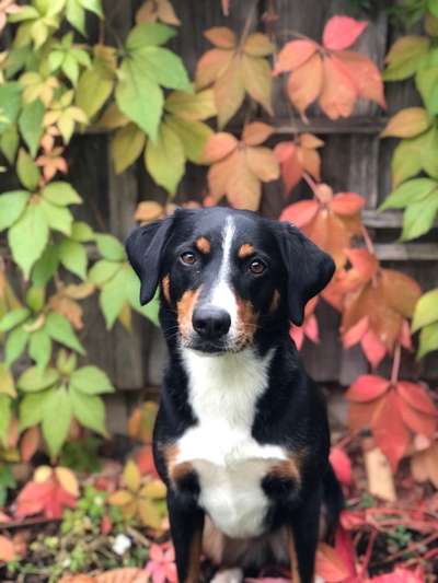 Foto Challenge 2 BEENDET 
Bitte aktuelle Challenge nutzen-Beitrag-Bild