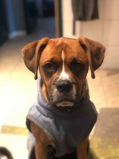 Ibd Verdacht-Beitrag-Bild