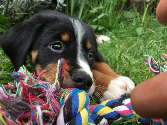 Foto Challenge 3-Beitrag-Bild