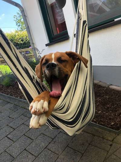 Fotochallenge No. 5-Beitrag-Bild