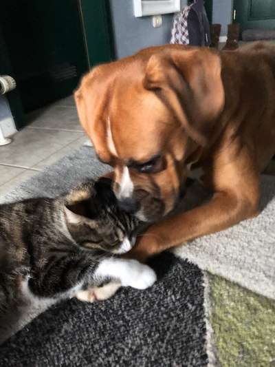 CHALLENGE Nr.17-Beitrag-Bild