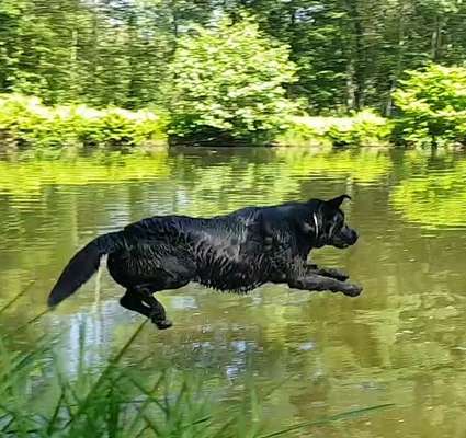 Dogorama-Monats-Challenge-Mai "Wasser"-Beitrag-Bild