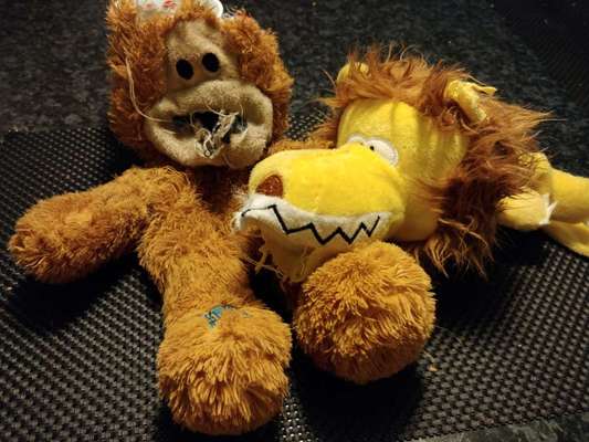 Ich hätte da mal eine Frage.....-Beitrag-Bild