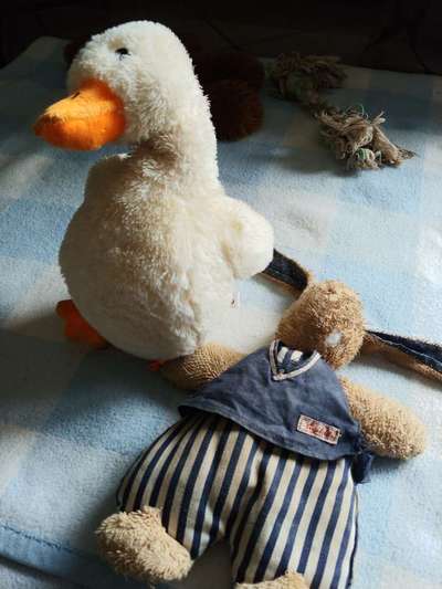 Ich hätte da mal eine Frage.....-Beitrag-Bild