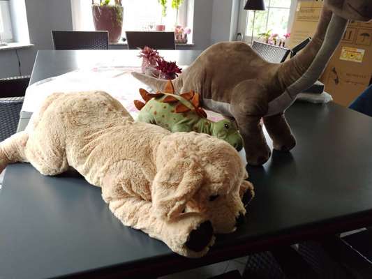 Ich hätte da mal eine Frage.....-Beitrag-Bild