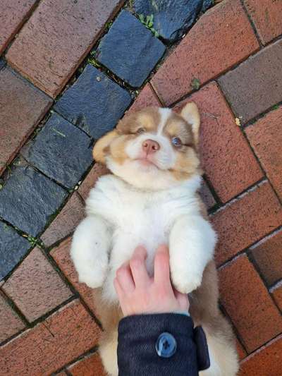 Fotowettbewerb-Beitrag-Bild